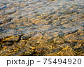 The pebbles and gravel under the surface of river with sunlight background. 75494920