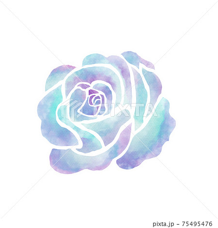 水彩風の青い薔薇 のイラスト素材