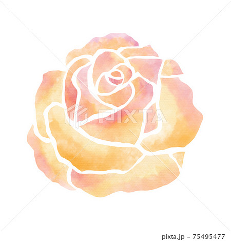 水彩風のオレンジの薔薇のイラスト素材