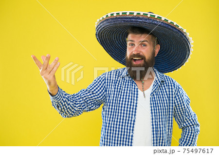 Bearded man. Male barber care. Mature hipster with beard 75497617