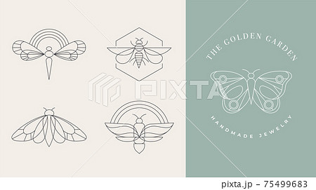 Bohemian linear logos, icons and symbols, insect, butterfly, dragonfly and moth design templates 75499683