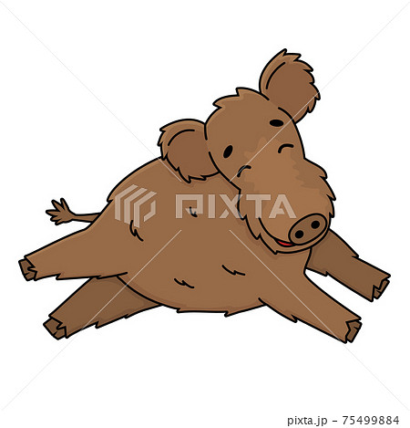 Brown cute fluffy Vector outline cartoon boar... - Stock Illustration  [75499884] - PIXTA