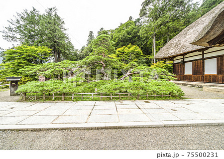 北向観音・常楽寺境内（上田市） 75500231