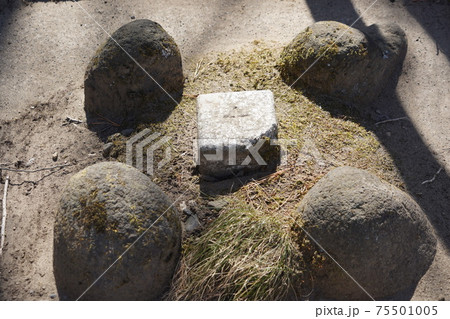 戦国時代に武田信玄の命により山本勘助らによって縄張りがされた、穴城（あなじろ）冬の小諸城址・懐古園 75501005