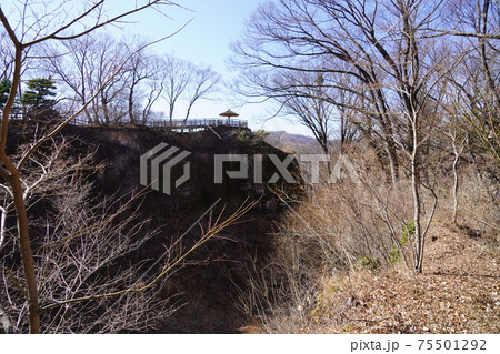 戦国時代に武田信玄の命により山本勘助らによって縄張りがされた、穴城(あなじろ)冬の小諸城址・懐古園 戦国時代に武田信玄の命により山本勘助らによって縄張りがされた、穴城(あなじろ)冬の小諸城址・懐古園 75501292