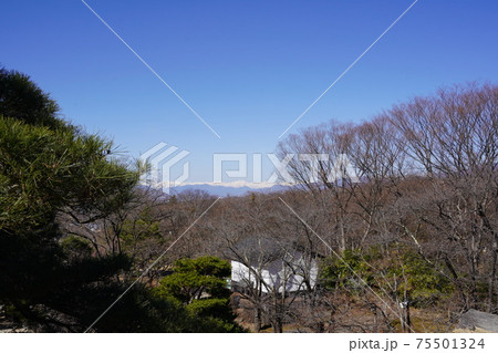 戦国時代に武田信玄の命により山本勘助らによって縄張りがされた、穴城(あなじろ)冬の小諸城址・懐古園 戦国時代に武田信玄の命により山本勘助らによって縄張りがされた、穴城(あなじろ)冬の小諸城址・懐古園 75501324