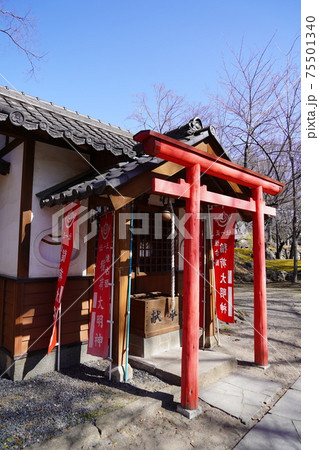 戦国時代に武田信玄の命により山本勘助らによって縄張りがされた、穴城(あなじろ)冬の小諸城址・懐古園 戦国時代に武田信玄の命により山本勘助らによって縄張りがされた、穴城(あなじろ)冬の小諸城址・懐古園 75501340