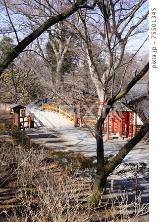 戦国時代に武田信玄の命により山本勘助らによって縄張りがされた、穴城(あなじろ)冬の小諸城址・懐古園 戦国時代に武田信玄の命により山本勘助らによって縄張りがされた、穴城(あなじろ)冬の小諸城址・懐古園 75501345