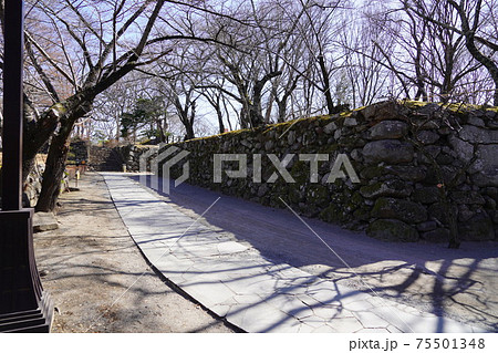 戦国時代に武田信玄の命により山本勘助らによって縄張りがされた、穴城(あなじろ)冬の小諸城址・懐古園 戦国時代に武田信玄の命により山本勘助らによって縄張りがされた、穴城(あなじろ)冬の小諸城址・懐古園 75501348