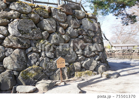 戦国時代に武田信玄の命により山本勘助らによって縄張りがされた、穴城(あなじろ)冬の小諸城址・懐古園 戦国時代に武田信玄の命により山本勘助らによって縄張りがされた、穴城(あなじろ)冬の小諸城址・懐古園 75501370