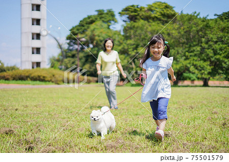 おばあちゃんと犬の散歩をする小さな女の子 75501579
