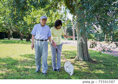 おばあちゃんと犬の散歩をする小さな女の子 75501587