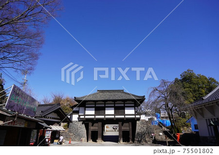戦国時代に武田信玄の命により山本勘助らによって縄張りがされた、穴城(あなじろ)冬の小諸城址・懐古園 戦国時代に武田信玄の命により山本勘助らによって縄張りがされた、穴城(あなじろ)冬の小諸城址・懐古園 75501802