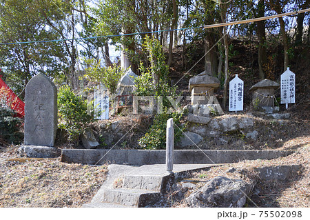 朝日稲荷神社 朝日稲荷神社 75502098
