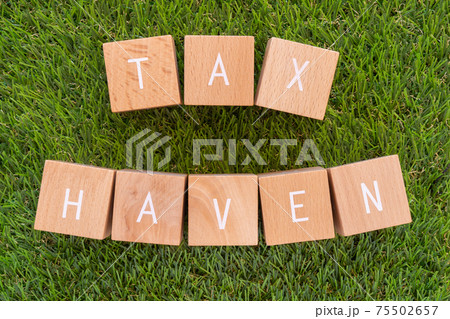 タックスヘイブン|「TAX HAVEN」と書かれた積み木ブロック タックスヘイブン|「TAX HAVEN」と書かれた積み木ブロック 75502657