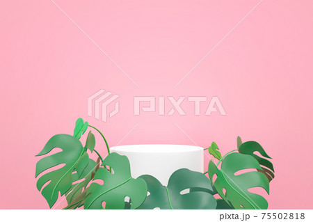 White Podium with green mostera leaves on pink background 75502818