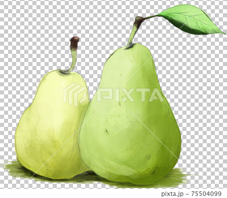 水彩觸摸梨畫 75504099