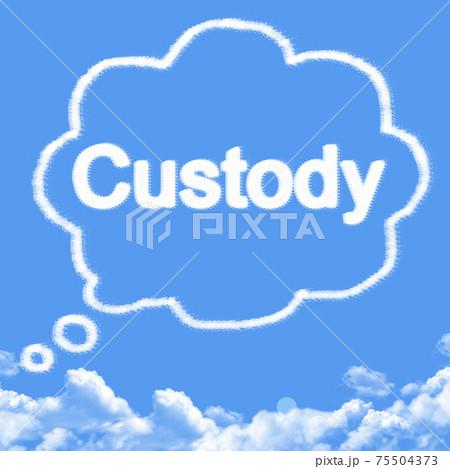 Cloud shaped as custody Message 75504373