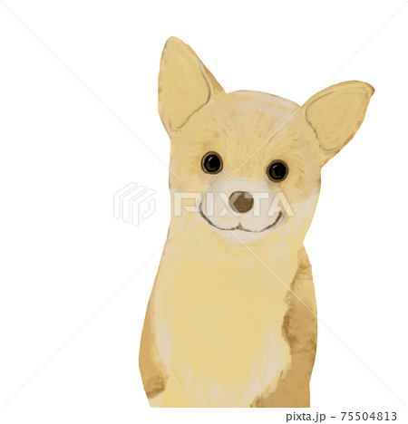 コーギー 仔犬 犬 Dog かわいい 手描き風 手書き風 厚塗り リアル イラスト ベージュのイラスト素材