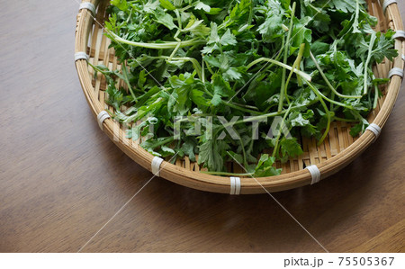 ハブ 成分 葉 75505367