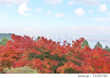 比叡山　秋の峰道展望台からの景色 75505794