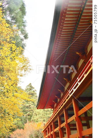 比叡山 秋の横川中堂 比叡山 秋の横川中堂 75505799