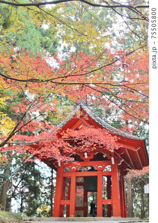 比叡山 秋の紅葉と鐘楼 比叡山 秋の紅葉と鐘楼 75505800