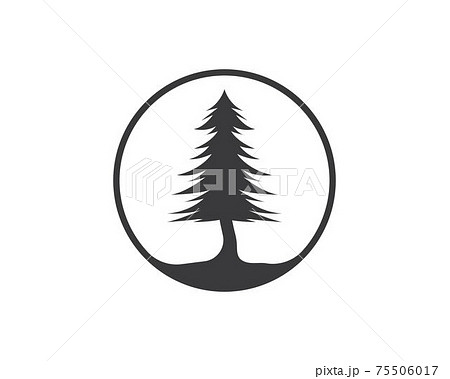 pines tree vector illustration design 75506017