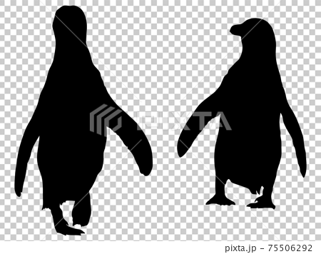 並んで歩くペンギンのシルエットのイラスト素材