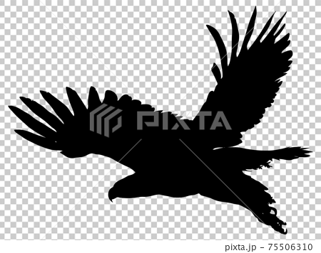 羽ばたく鷲のシルエットのイラスト素材