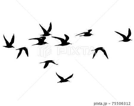 羽ばたく鳥の群れのシルエットのイラスト素材