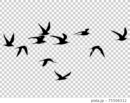 羽ばたく鳥の群れのシルエットのイラスト素材