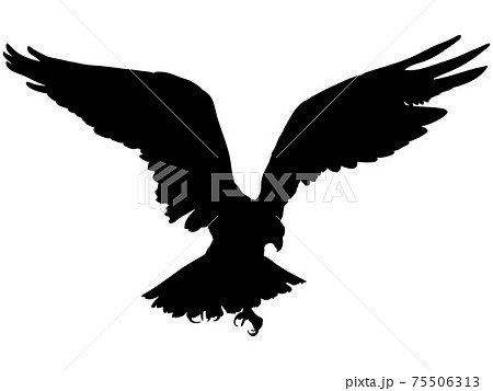 Flapping Hawk Silhouette Stock Illustration
