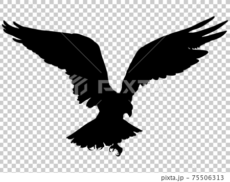 羽ばたく鷹のシルエットのイラスト素材