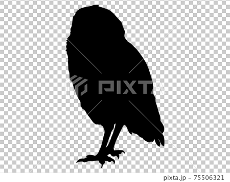 Crow silhouette Crow silhouette 75506321