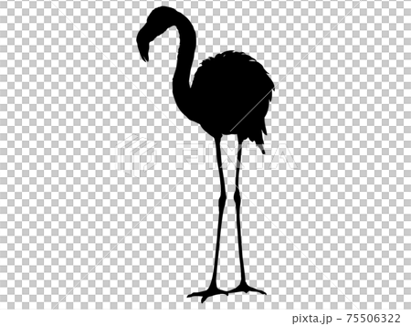 フラミンゴのシルエットのイラスト素材 75506322 Pixta