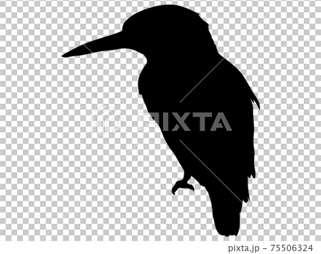 The kingfisher's silhouette - Stock Illustration [75506324] - PIXTA