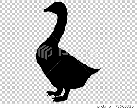 鴨剪影 75506330