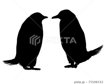 2羽のペンギンのシルエット 75506332