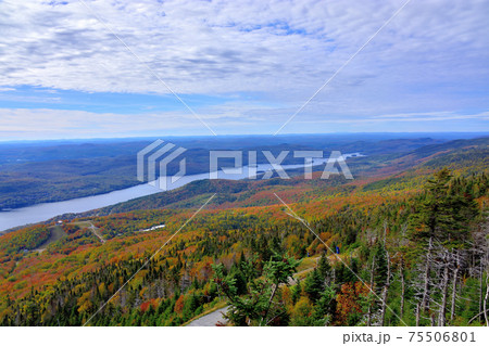 秋彩りカナダ・ローレンシャン高原紅葉 75506801