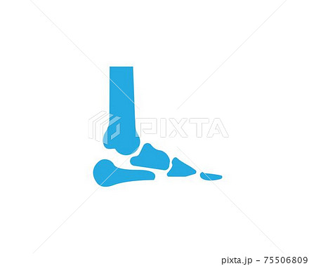 foot bone bone logo vector illustration foot bone bone logo vector illustration 75506809