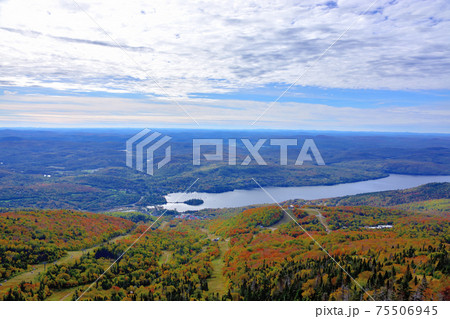 秋彩りカナダ・ローレンシャン高原紅葉 75506945