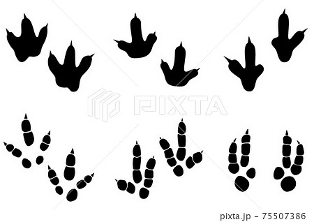 Dinosaur Footprint Tracks Vector Set のイラスト素材