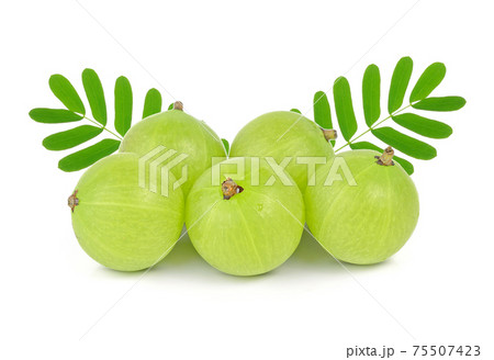 Indian gooseberry isolated on white background 75507423