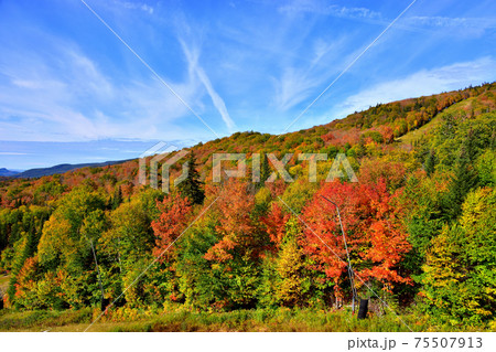 秋彩りカナダ・ローレンシャン高原紅葉 秋彩りカナダ・ローレンシャン高原紅葉 75507913