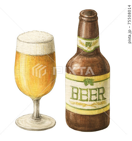 グラスビールとビール瓶 手描き水彩色えんぴつ画のイラスト素材