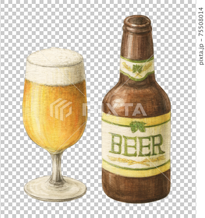 玻璃啤酒和啤酒瓶手繪水彩鉛筆劃 75508014