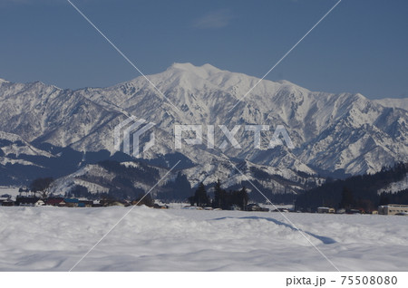 雪国魚沼 75508080