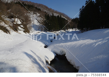 雪国魚沼 雪国魚沼 75508544