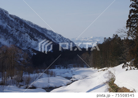 雪国魚沼 雪国魚沼 75508545